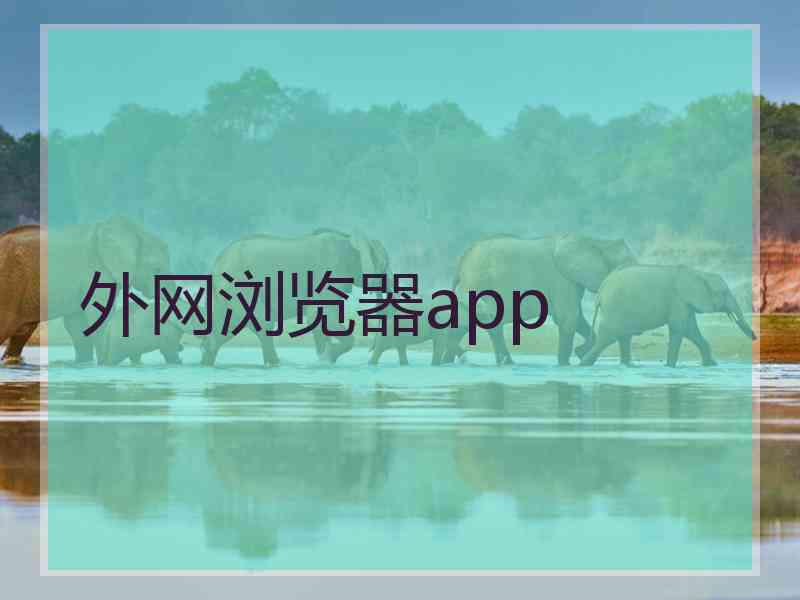 外网浏览器app