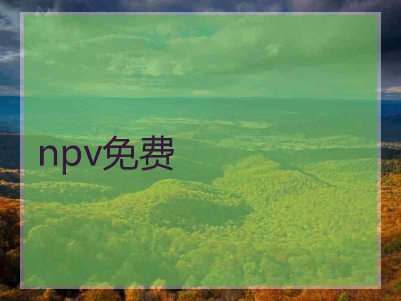 npv免费