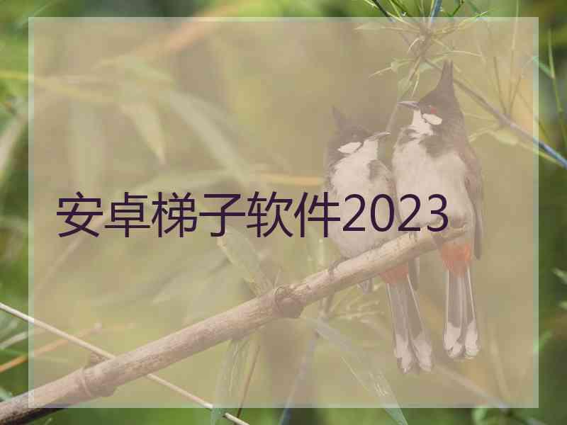 安卓梯子软件2023