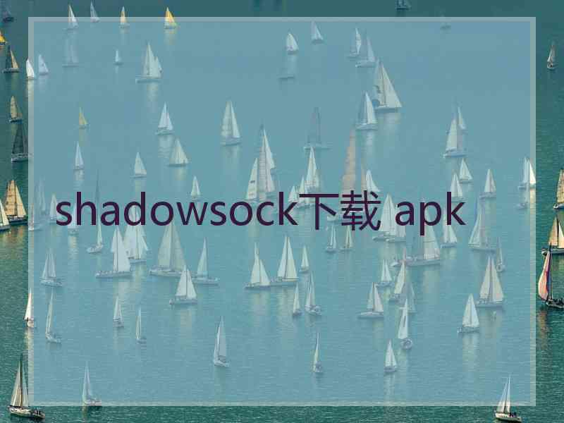 shadowsock下载 apk