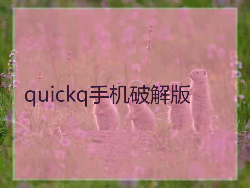 quickq手机破解版