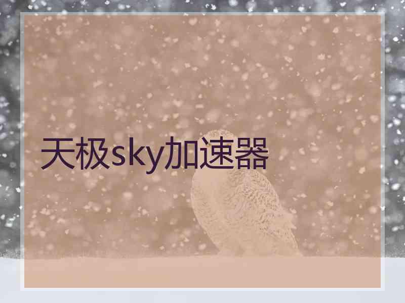 天极sky加速器