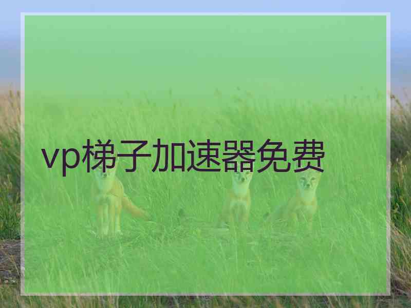 vp梯子加速器免费