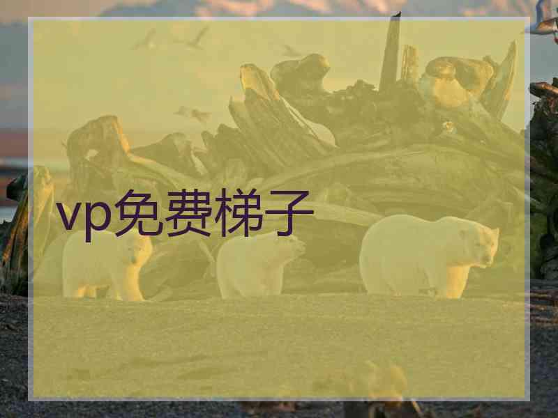 vp免费梯子