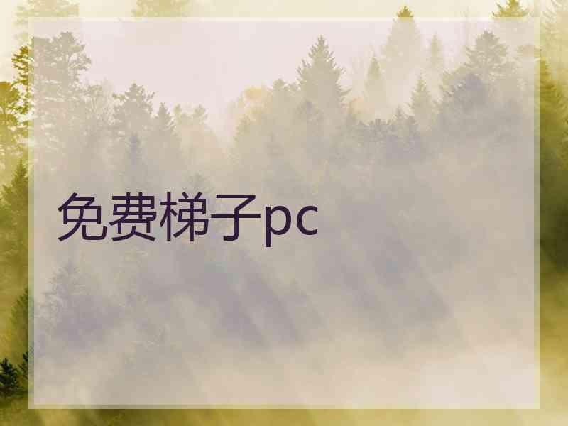 免费梯子pc