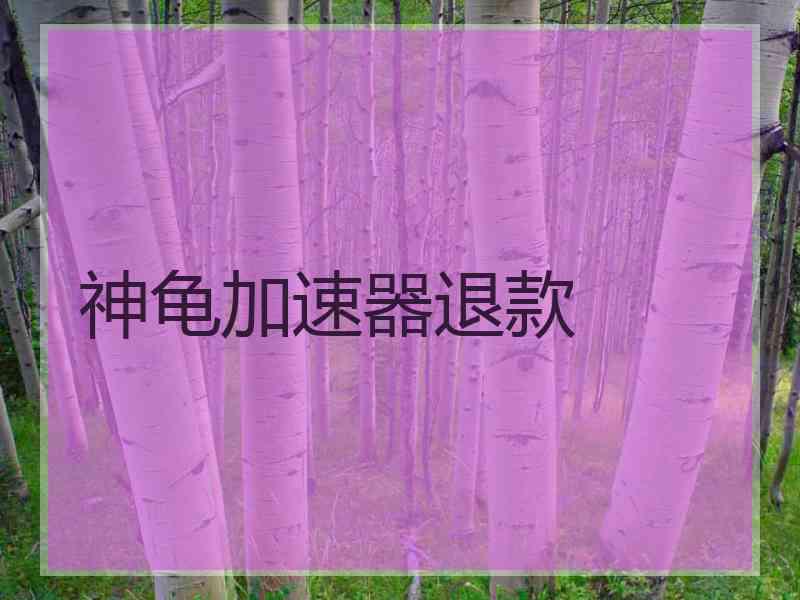 神龟加速器退款