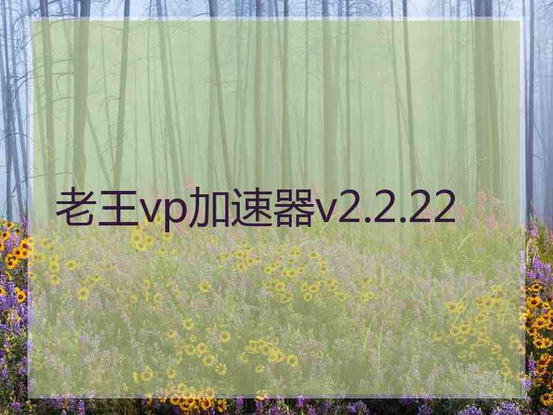 老王vp加速器v2.2.22