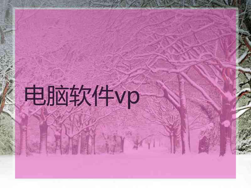 电脑软件vp