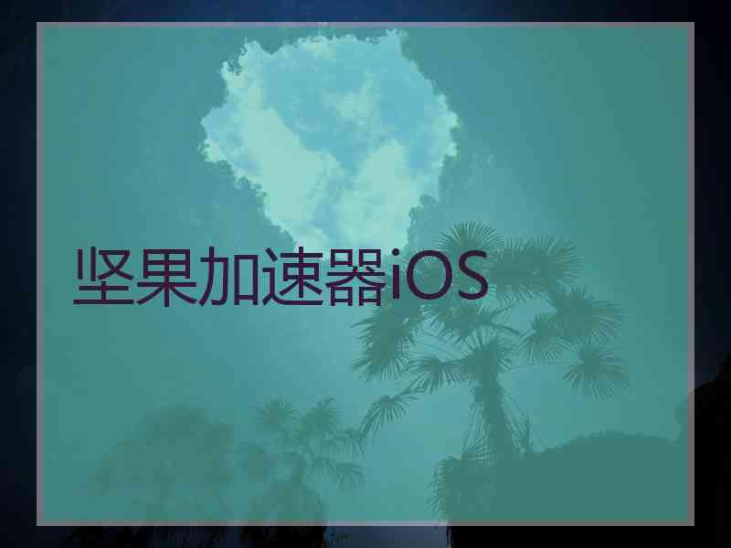 坚果加速器iOS