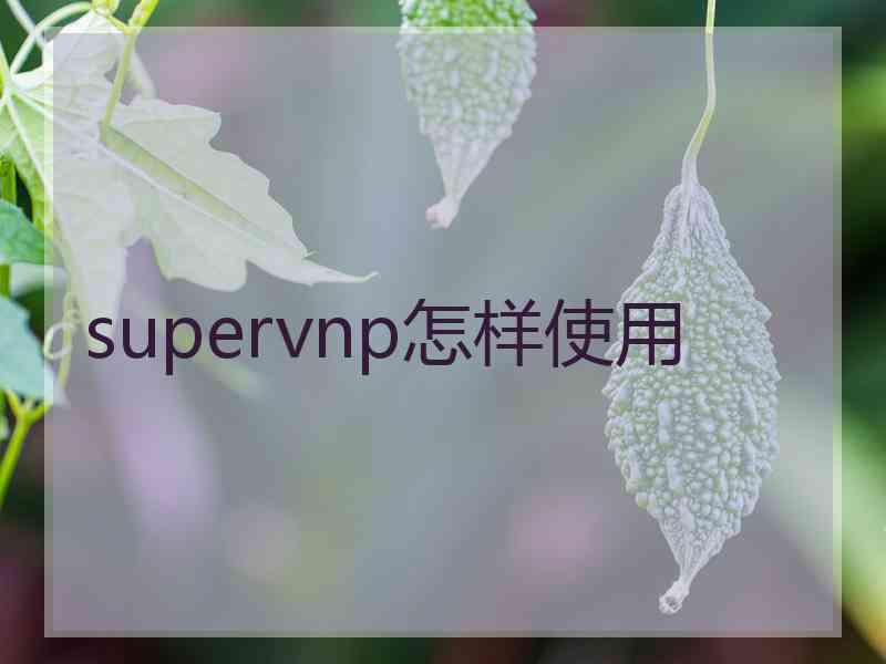 supervnp怎样使用