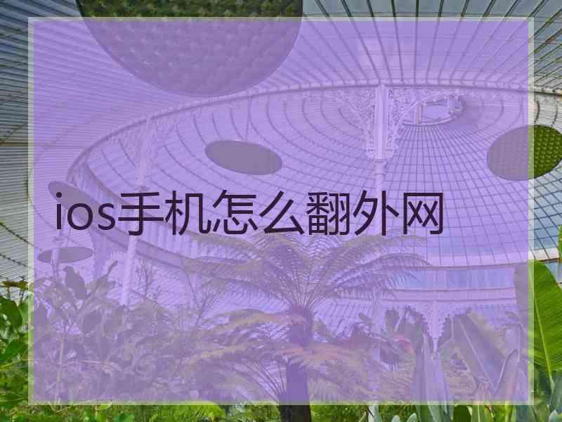 ios手机怎么翻外网