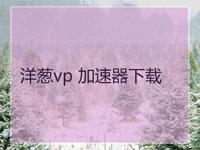 洋葱vp 加速器下载