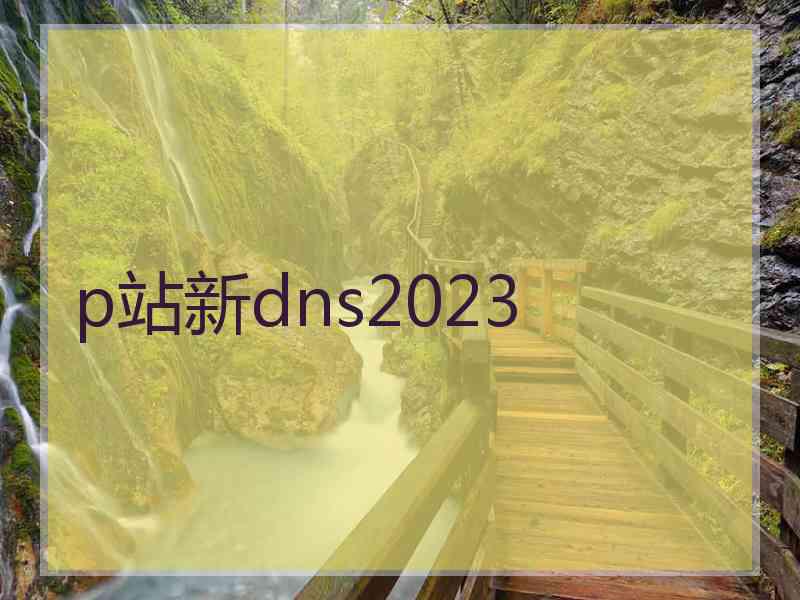 p站新dns2023