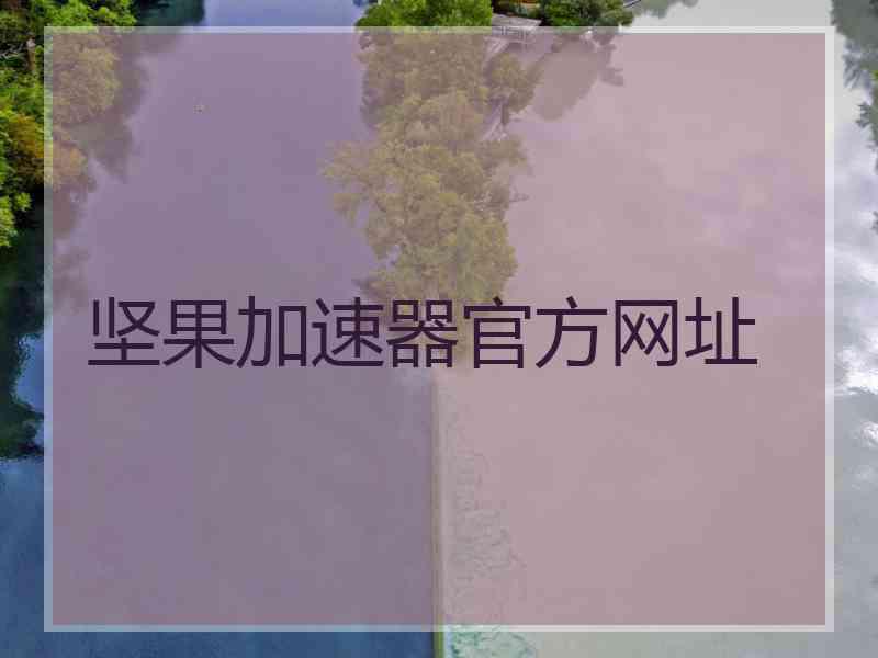 坚果加速器官方网址