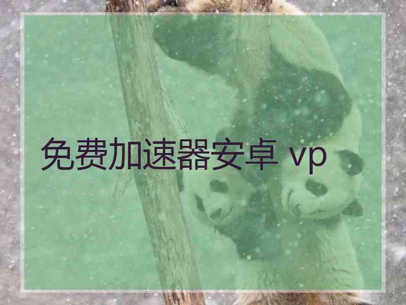 免费加速器安卓 vp