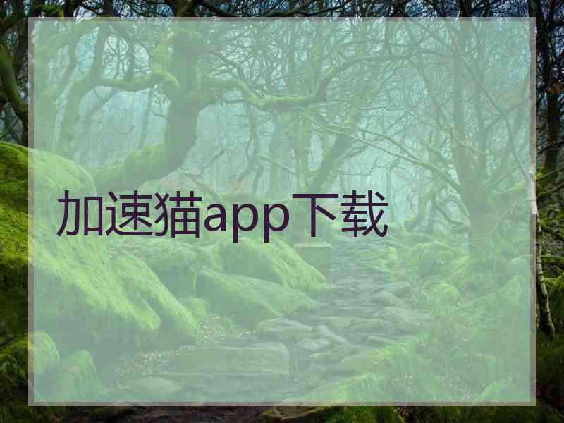 加速猫app下载