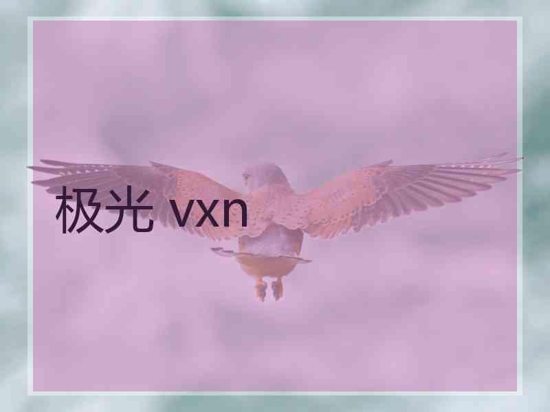 极光 vxn