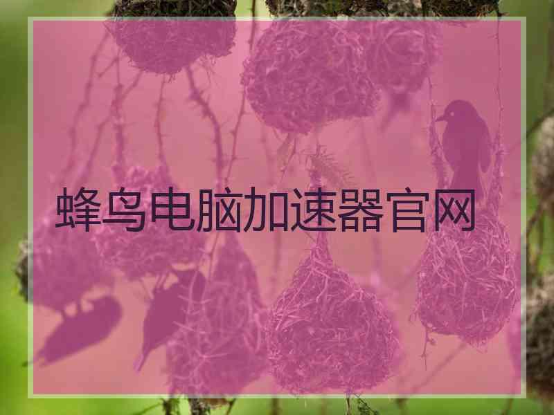 蜂鸟电脑加速器官网