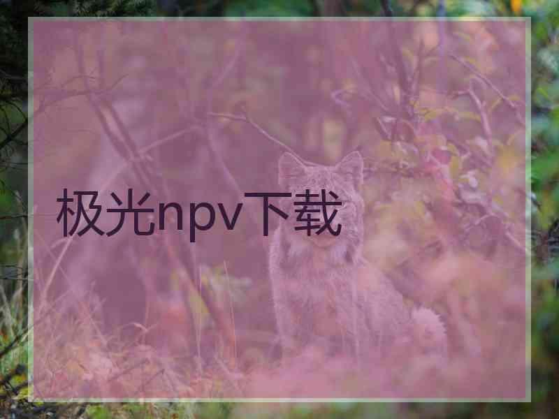 极光npv下载