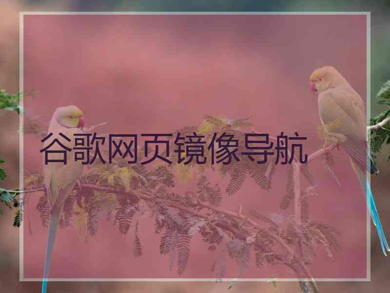 谷歌网页镜像导航