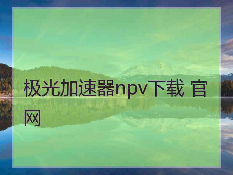 极光加速器npv下载 官网