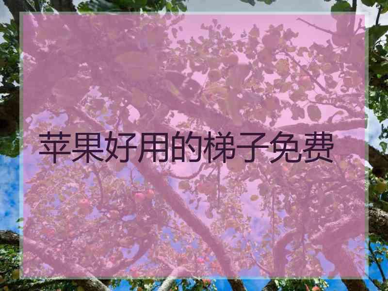 苹果好用的梯子免费