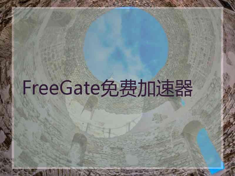 FreeGate免费加速器