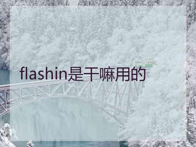 flashin是干嘛用的