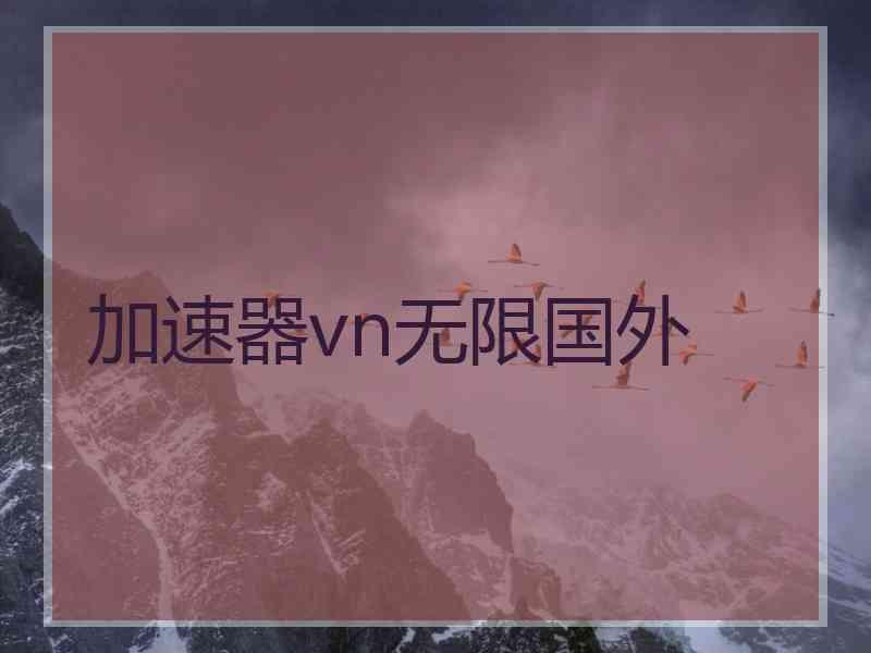 加速器vn无限国外