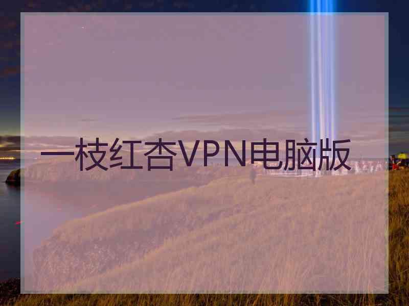 一枝红杏VPN电脑版