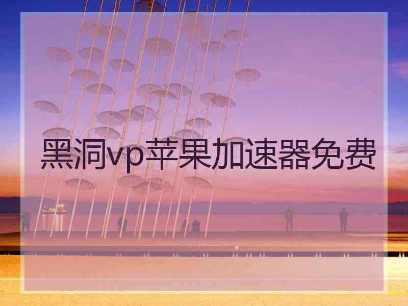 黑洞vp苹果加速器免费