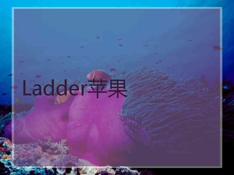 Ladder苹果