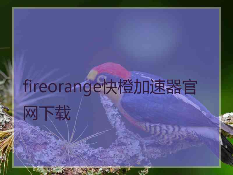 fireorange快橙加速器官网下载