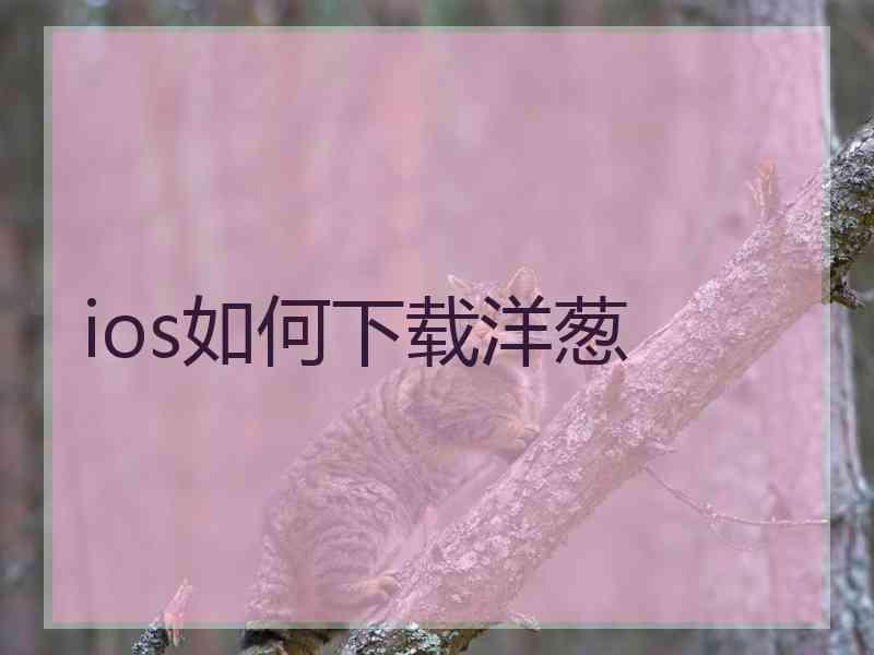 ios如何下载洋葱