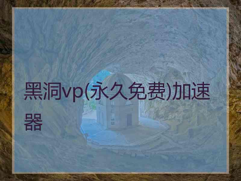 黑洞vp(永久免费)加速器