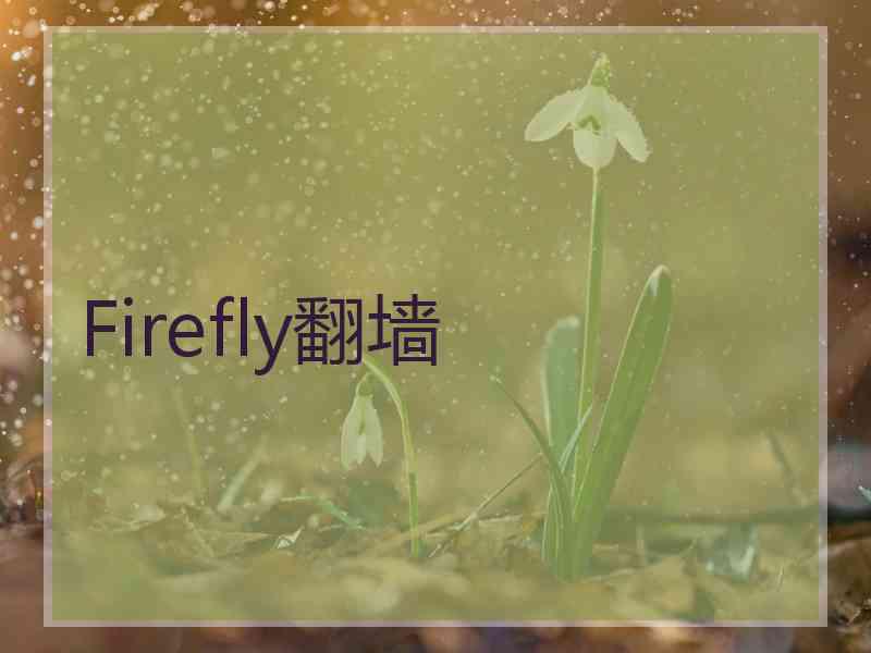 Firefly翻墙