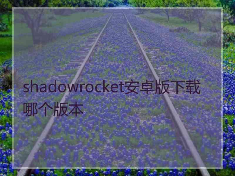 shadowrocket安卓版下载哪个版本