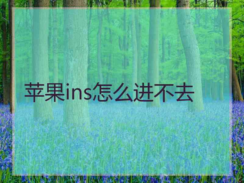 苹果ins怎么进不去