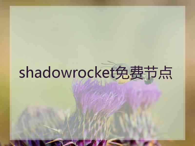 shadowrocket免费节点